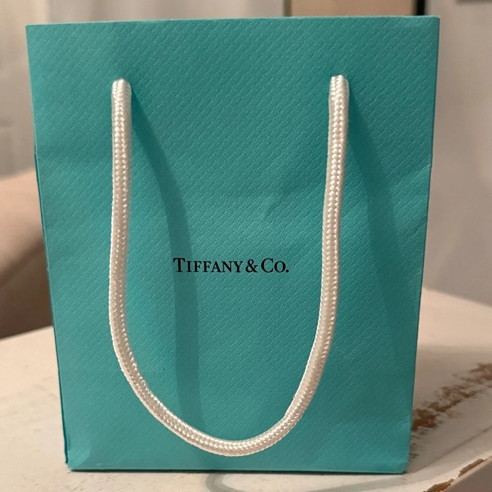 Tiffany & Co. Turquoise Shopping Bag only - Picture 1 of 6